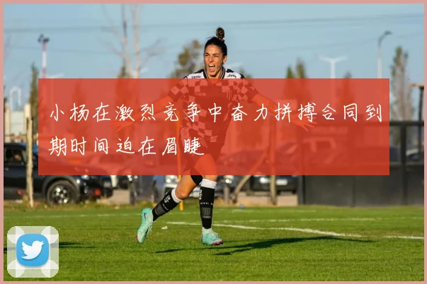 小杨在激烈竞争中奋力拼搏合同到期时间迫在眉睫